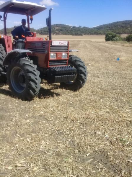 Le ministère des Domaines de l'Etat récupère un terrain agricole de 16 ha à Siliana