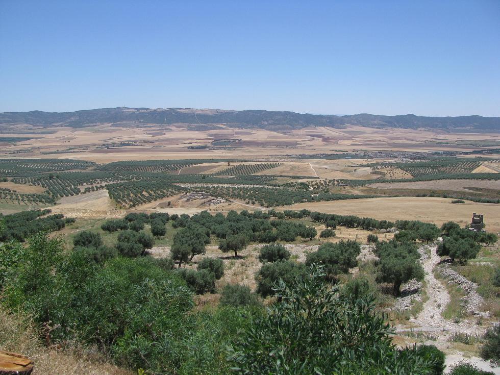 Vaste opération de ratissage à Siliana