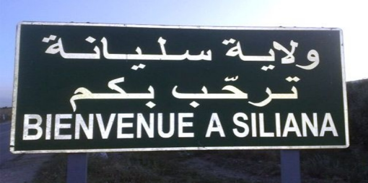 Financement de 290 petits projets à Siliana