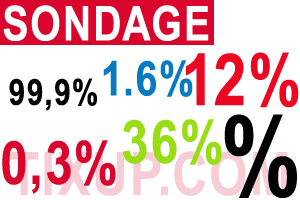 Sondages politiques, « un simple jeu de mots et de chiffres »