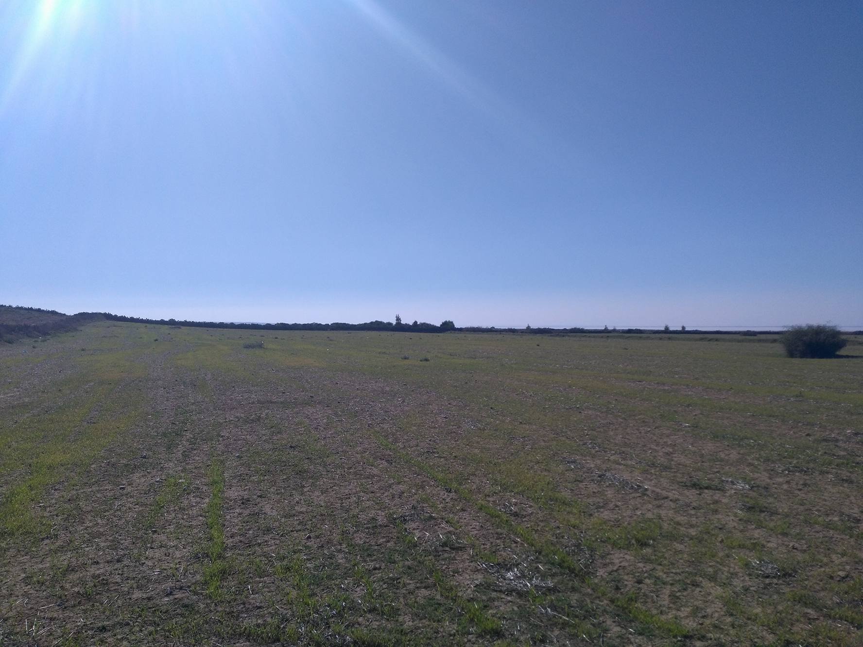L’Etat récupère un terrain domanial agricole de 10 hectares à Béja