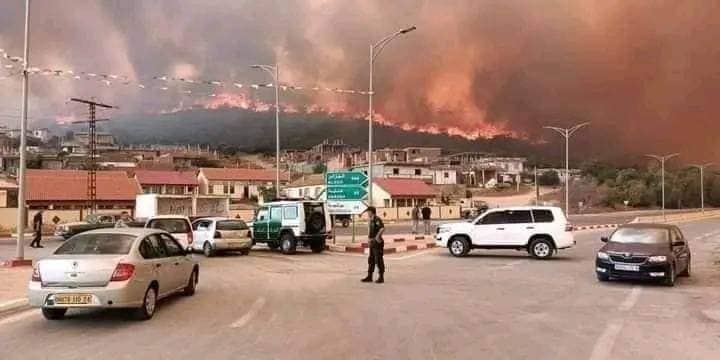 Des incendies sur les frontières tuniso-algériennes