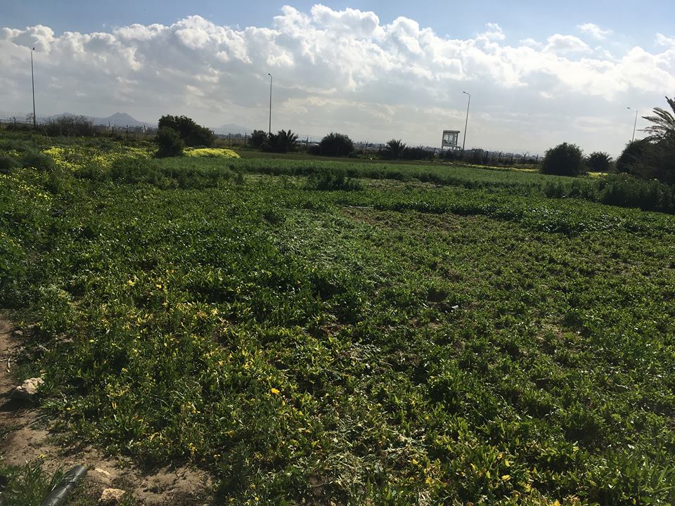 Domaines de l’Etat: Récupération de 100 hectares à Béja