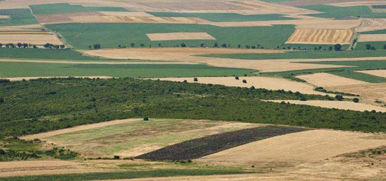 Domaines de l'Etat: Régularisation de 1238 hectares de terrains domaniaux agricoles dans 10 gouvernorats