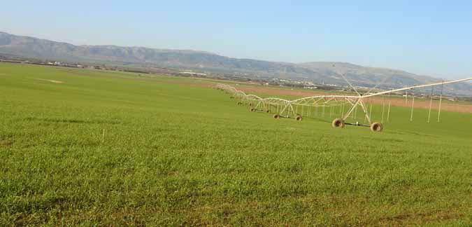 Plus de 120 hectares de terres domaniales récupérées par l'Etat à Bizerte