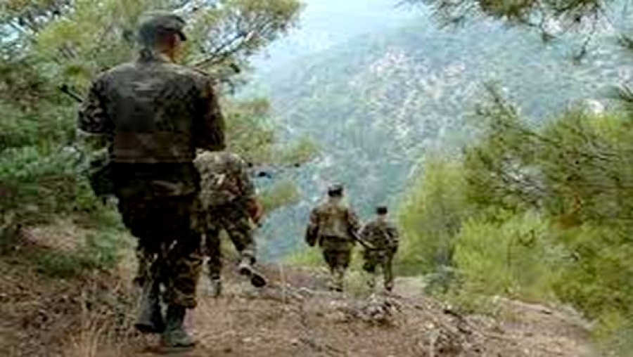 Deux terroristes abattus en Algérie