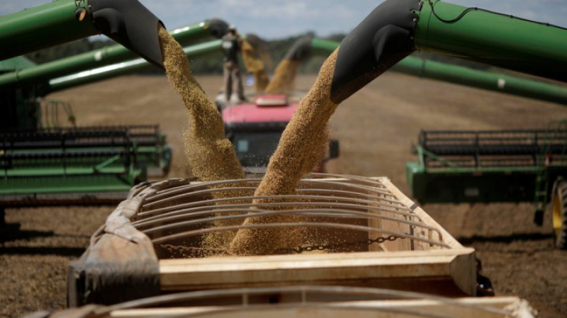 Plus de 100 mille tonnes de céréales importées par la Tunisie