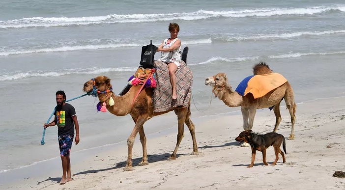 Le Figaro: "L’avenir du tourisme tunisien repose sur sa capacité à innover et à s’adapter..."