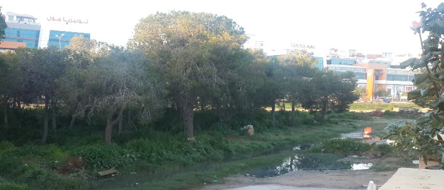 Les habitants d’Ain Zaghouan en plein cauchemar à cause du mépris de l'ONAS