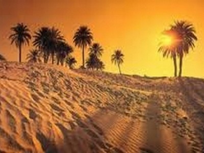 Des agenciers russes à la découverte du Sahara tunisien