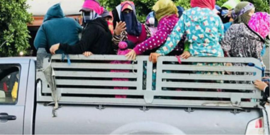 Tunisie: Table ronde sur le transport décent des travailleuses agricoles