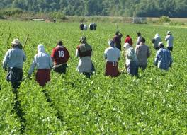 Pour la protection des droits des travailleurs migrants