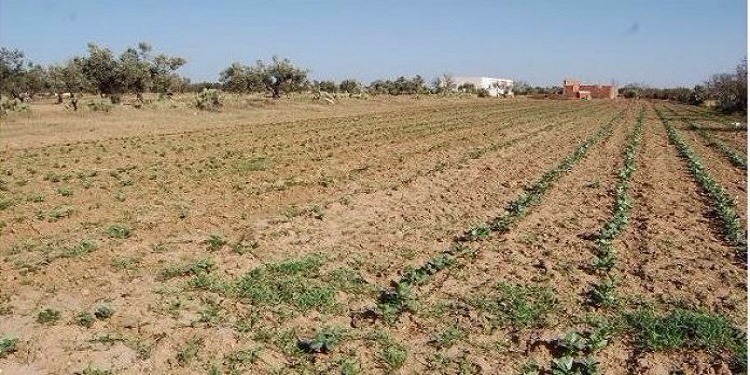 L’Etat récupère un terrain domanial agricole à Sfax