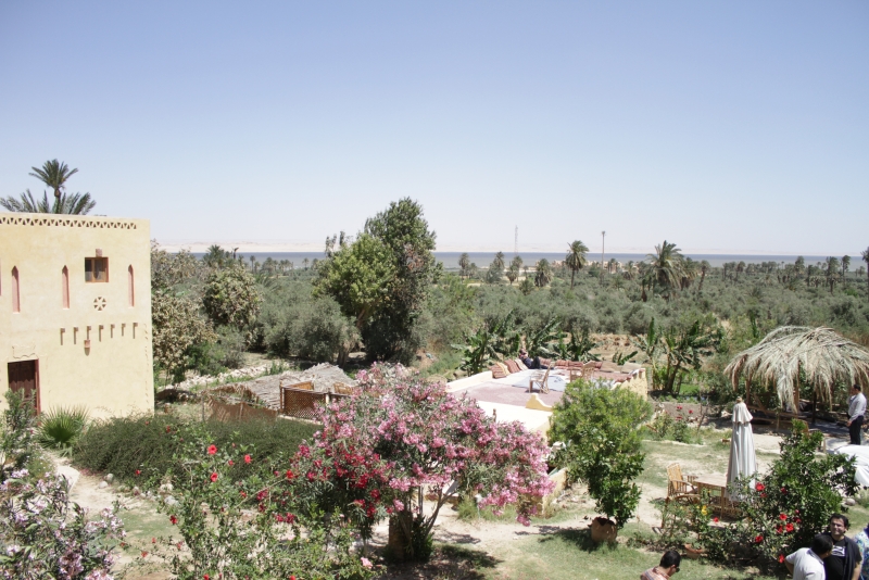 « Tunis » village du Fayoum en Egypte, haut lieu de la poterie