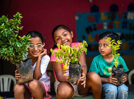 Nouvelles initiatives de l’UNESCO pour une "éducation verte" à l’école