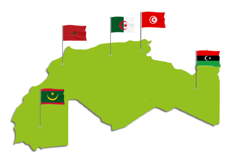 Il était une fois, l’Union du Maghreb Arabe