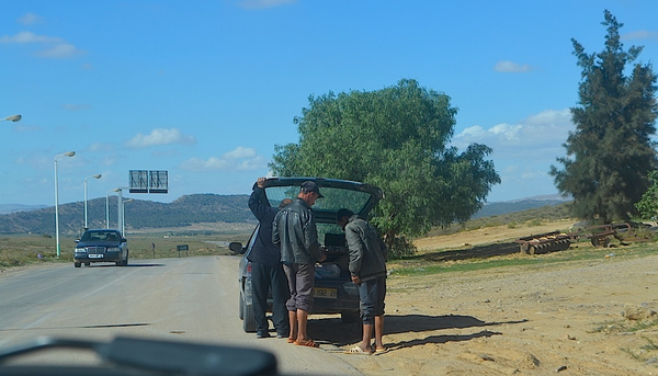 14 voitures avec des fausses plaques menacent la Tunisie 