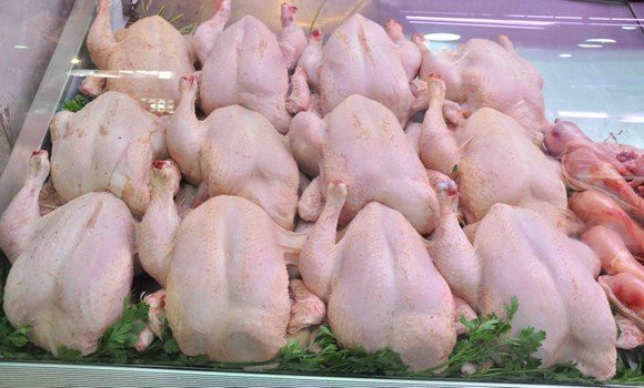 Tunisie: Près de 60 % de la viande de volaille consommée provient d’abattoirs clandestins