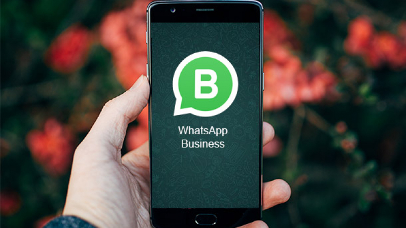 WhatsApp lance une nouvelle fonctionnalité pour les PME