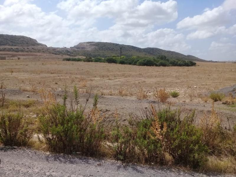 Zaghouan : Récupération de 36 hectares de terrains domaniaux