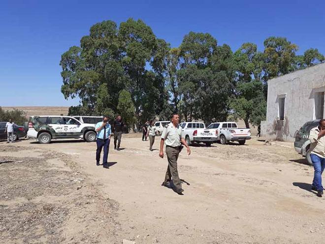 Zaghouan : Récupération de 98 hectares de terrains domaniaux