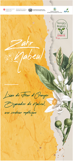 Senteurs florales de nos régions : Entre savoir-faire ancestral et innovation