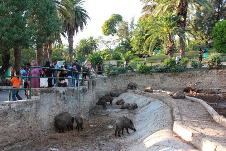Paris ou l'Ile de France au secours du Zoo du Belvédère !