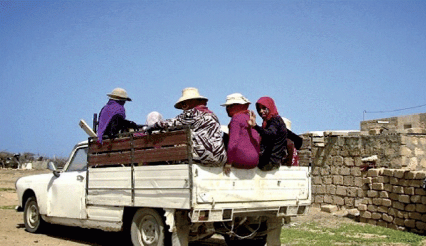 Sidi Bouzid: Onze ouvrières agricoles blessées dans un accident
