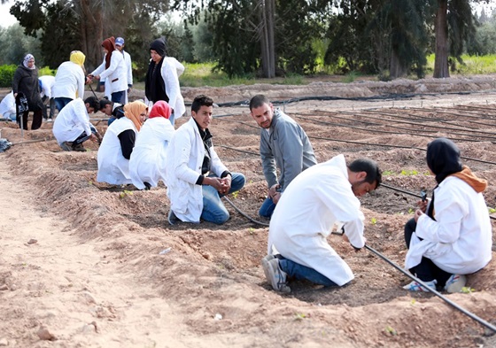 Signature de trois conventions en faveur de la formation professionnelle en Tunisie