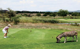 Championnat d’Afrique juniors de Golf:7 jeunes à Johannesburg