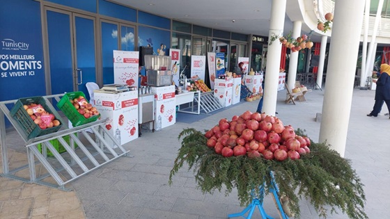 Journées promotionnelles nationales : La Grenade de Gabès avec label AOC en vedette