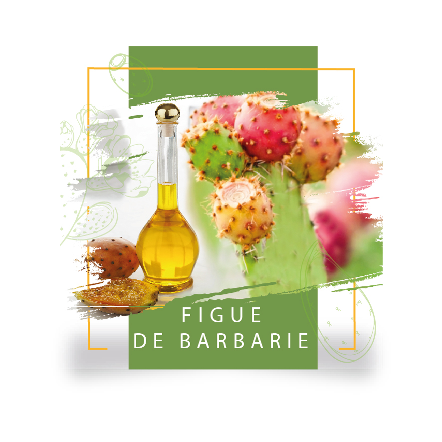 Une première: La Tunisie publie une norme technique spécifique à l’huile de pépins de figue de Barbarie