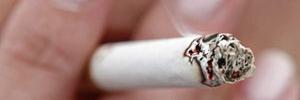 Tunisie-Lutte anti-tabac: la convention de l'OMS ratifiée et de nouvelles lois à venir