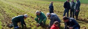 Tunisie: L'agriculteur biologique Abdelmajid Mahjoub honoré par Ben Ali