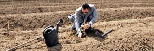 Tunisie: Sakher El Materi investit dans le secteur agricole