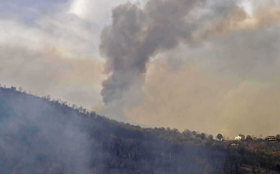 Algérie: Tous les feux des forêts maitrisés