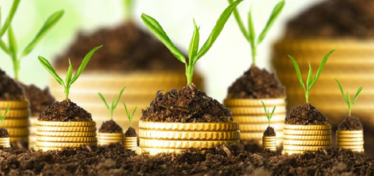 FMA : Seulement 0,77% des investissements directs étrangers agricoles en Tunisie