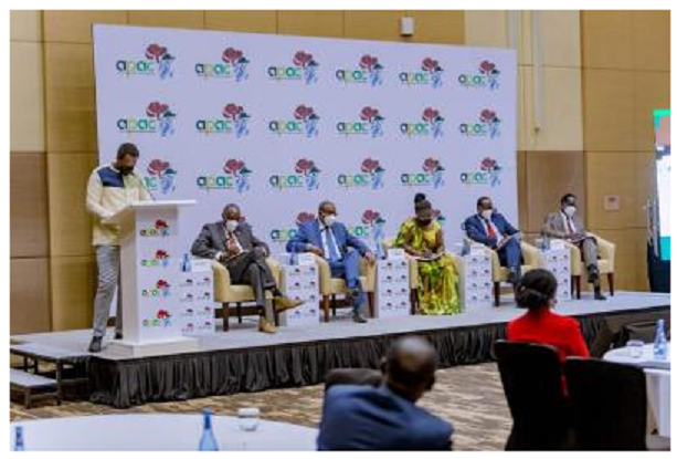 Congrès africain des aires protégées de l'UICN au Rwanda: Trois anciens chefs d'État comme parrains