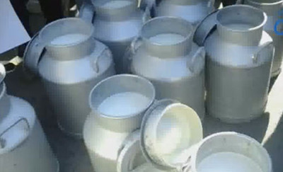 Tunisie: Augmentation de 100 millimes du prix du lait au profit des agriculteurs