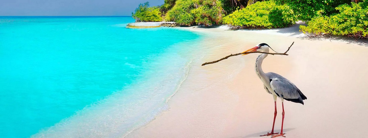 Les Maldives interdisent l'entrée des touristes israéliens sur leur sol