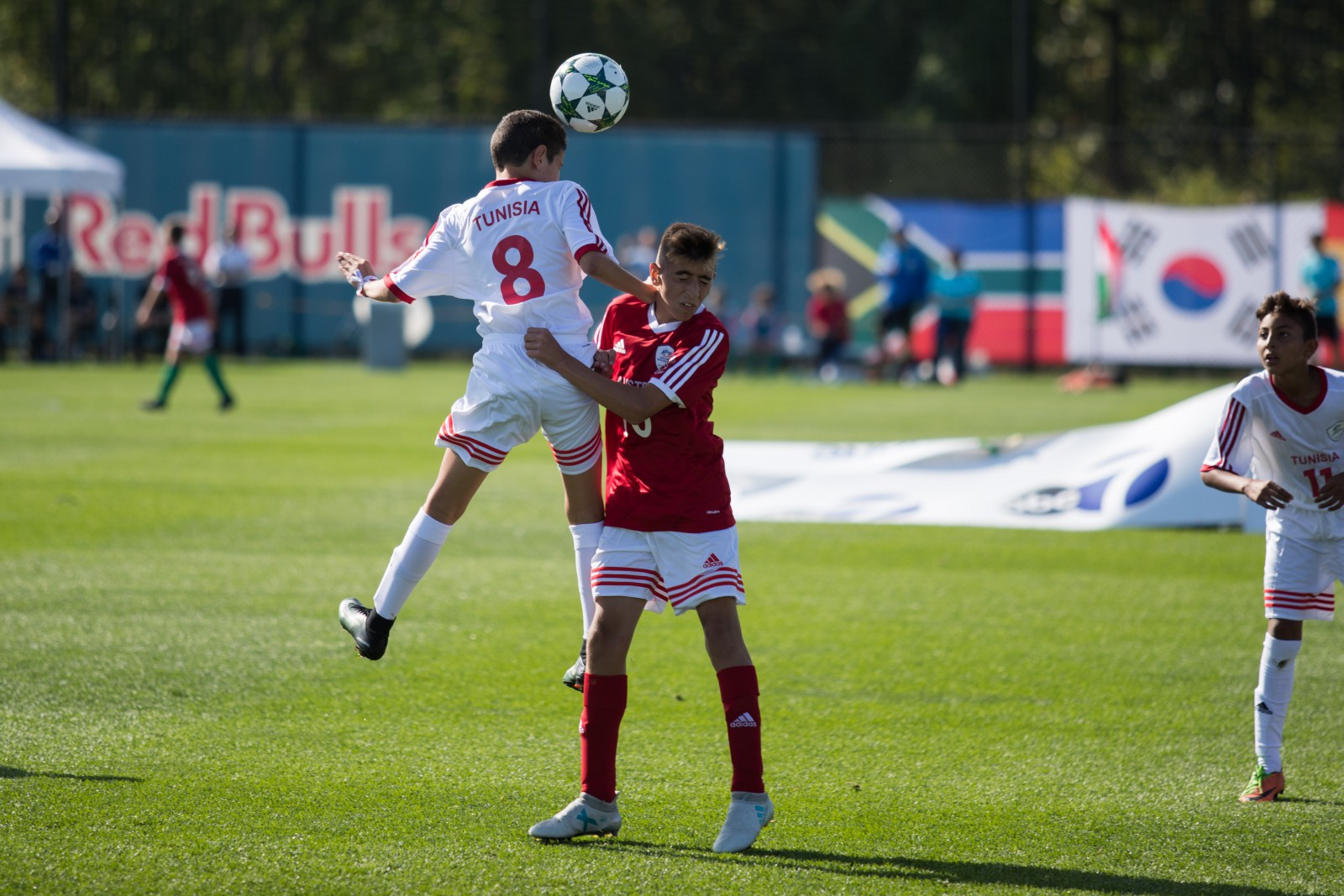 Coronavirus-Tunisie: Suspension de  toutes les compétitions sportives