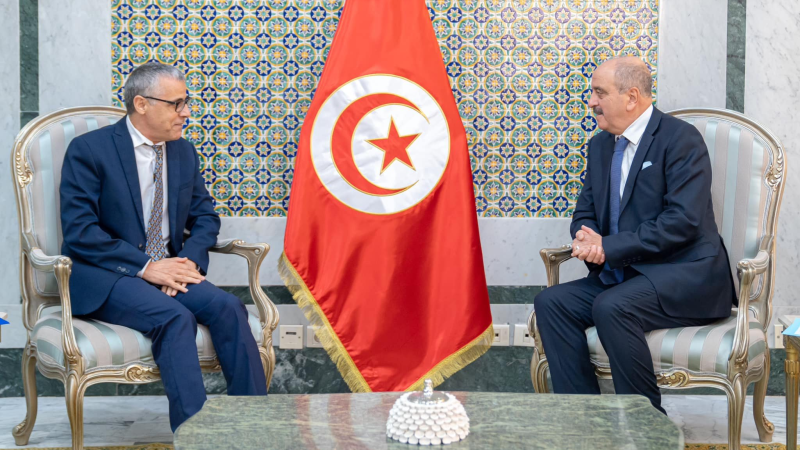 Rapatriement des migrants irréguliers : Nafti s’entretient avec le chef de mission de l’OIM