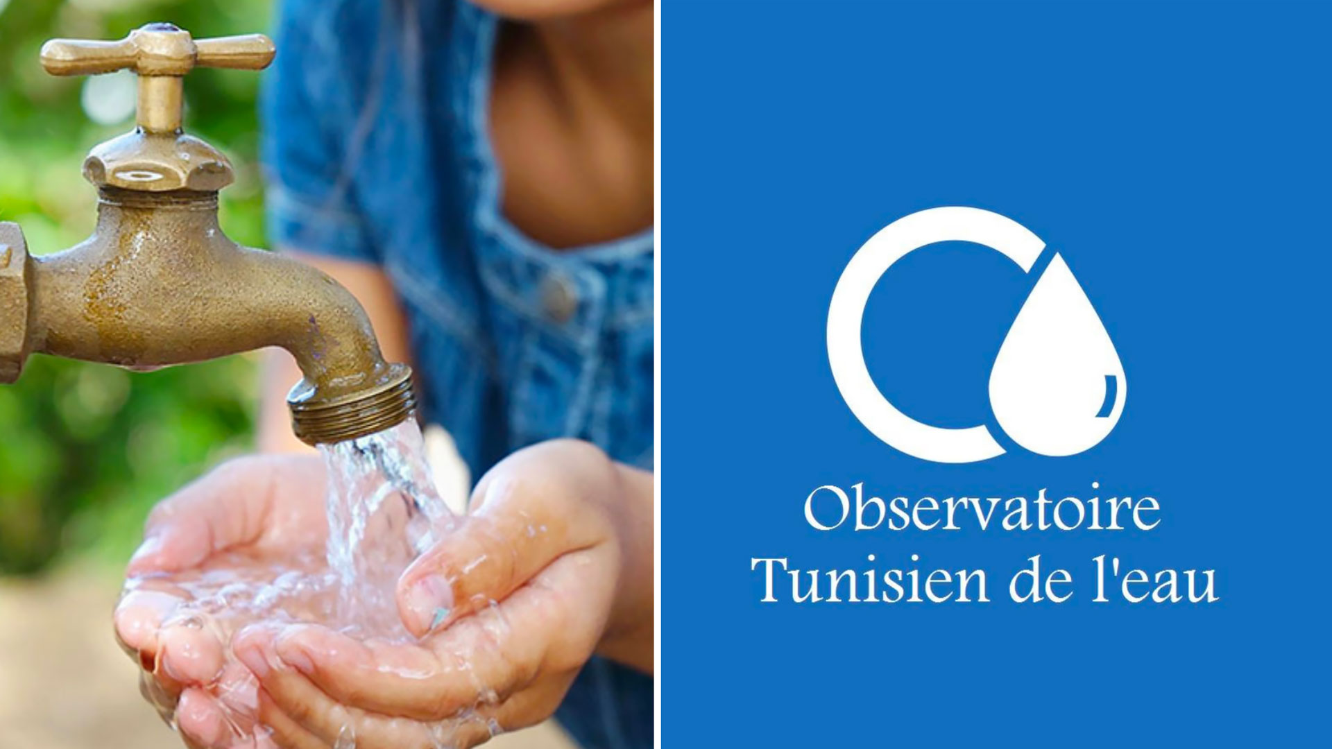 L’Observatoire tunisien de l’eau réclame le retrait du projet du Code de l’eau