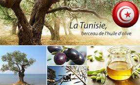 Huile d’olive : le marché européen demeure la plus importante destination des exportations