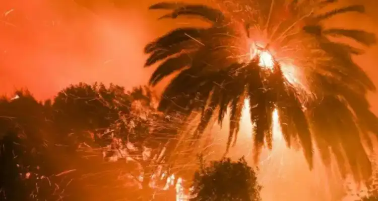 Tunisie: Un incendie ravage 600 palmiers dans une oasis à Tozeur