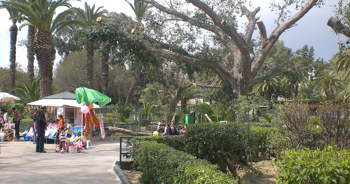 Tunisie: Réouverture prochaine du zoo du Belvédère