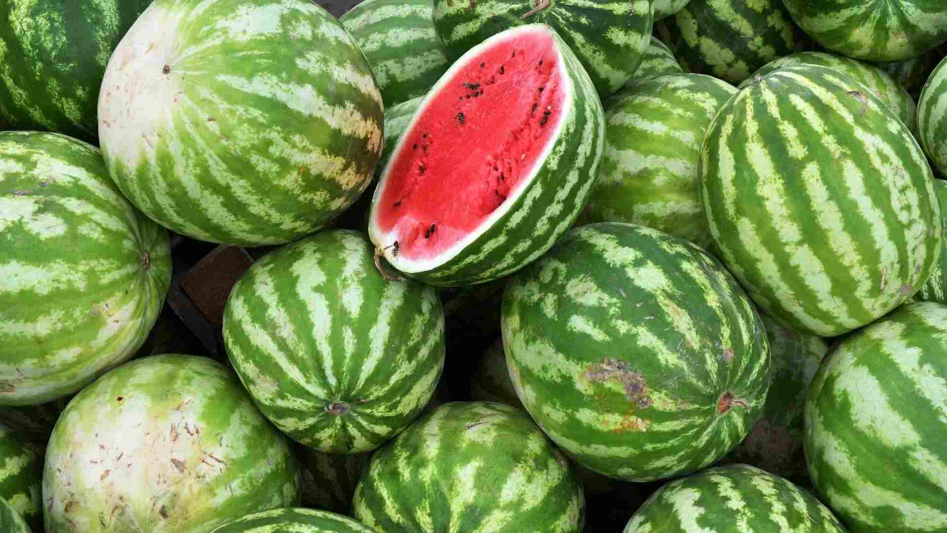 Tunisie: Ces rumeurs malsaines qui ont affecté les ventes de pastèques