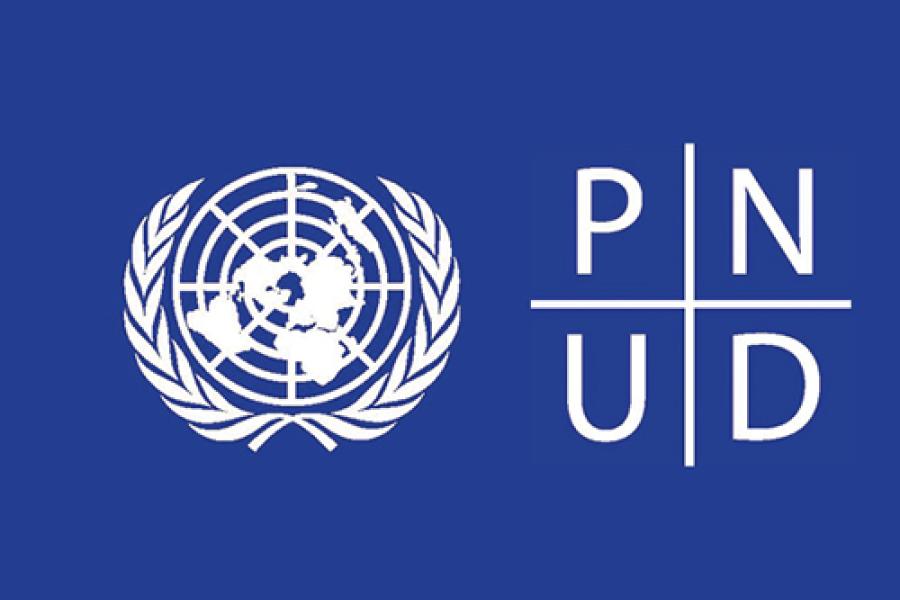 PNUD - Canada : Appel aux femmes éco-entrepreneures de sept gouvernorats tunisiens