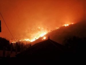 Incendie Boukornine : des poches de feu apparues sur le flanc de la montagne, appel à la vigilance