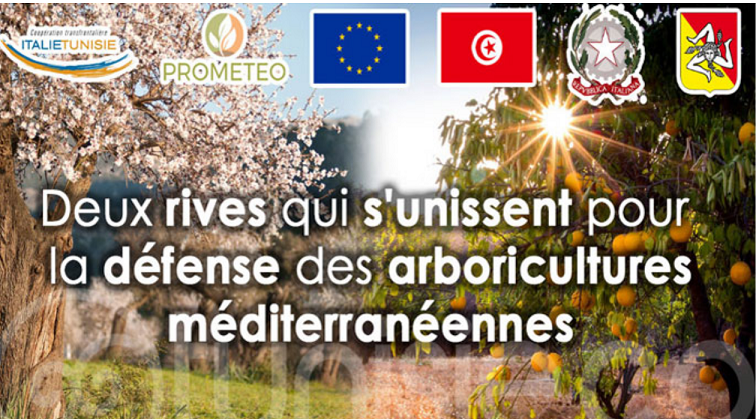 Tunisie-Italie: Inauguration du laboratoire du village transfrontalier de la connaissance